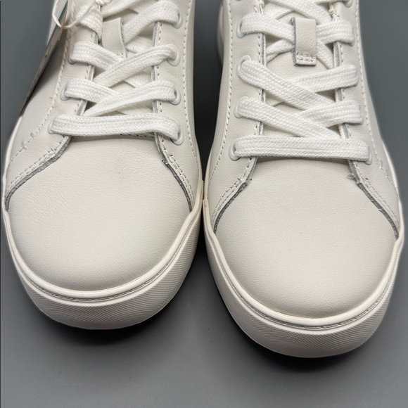 TOMS Kameron Sneakers - Picture 2 of 4